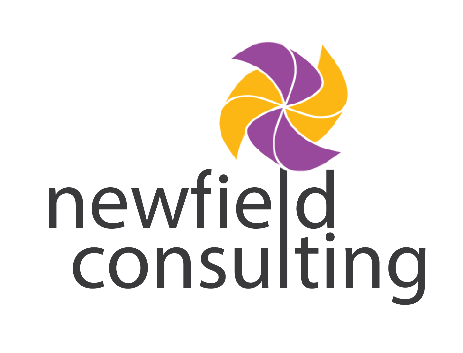 logo newfield consulting